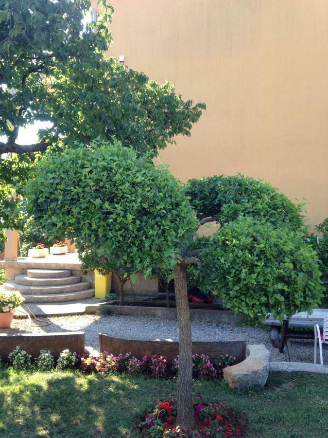 Apartment Aleksandra Малинска Екстериор снимка